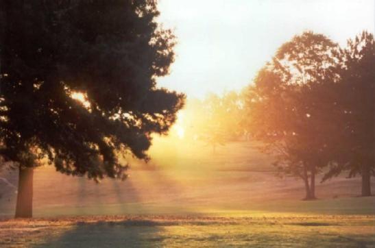 White River Golf Lodge Luaran gambar